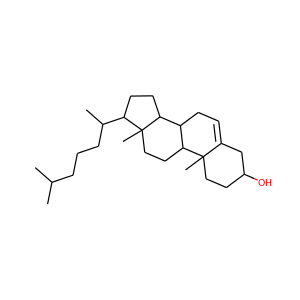 cholesterol (C)